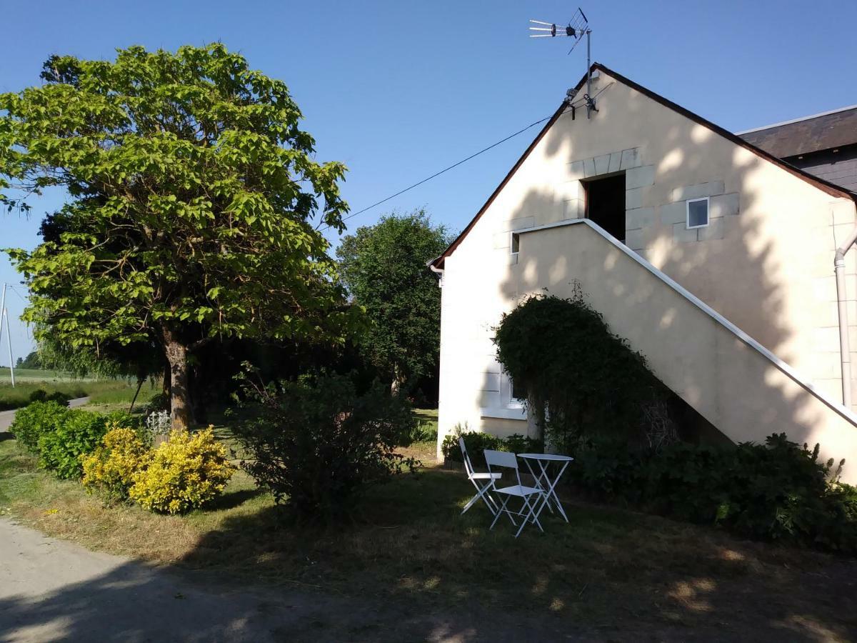 Les Hautes Mougonnieres Neuil Экстерьер фото